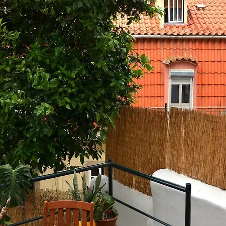 Garden And City Views In Graca * Lisboa